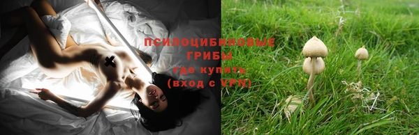 прущие крисы Алексин