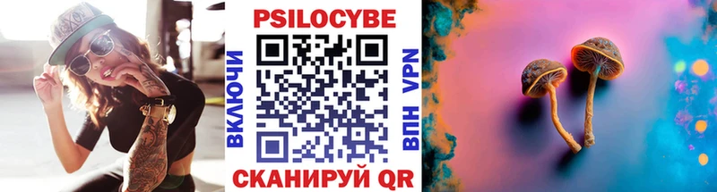 закладка Сенгилей Галлюциногенные грибы мицелий